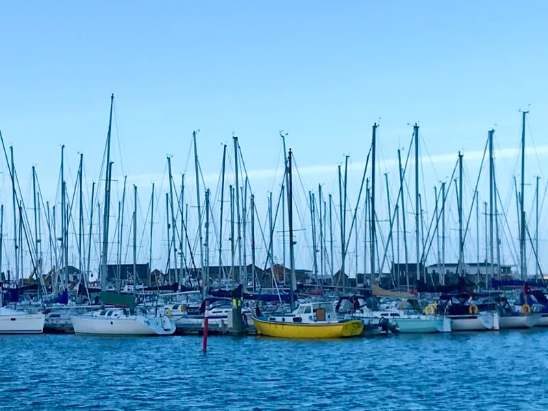 Boat Tour from Howth Harbour