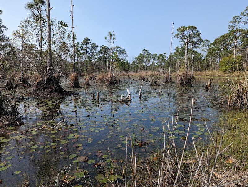 Bon Secour National Wildlife Refuge Beach & Trails