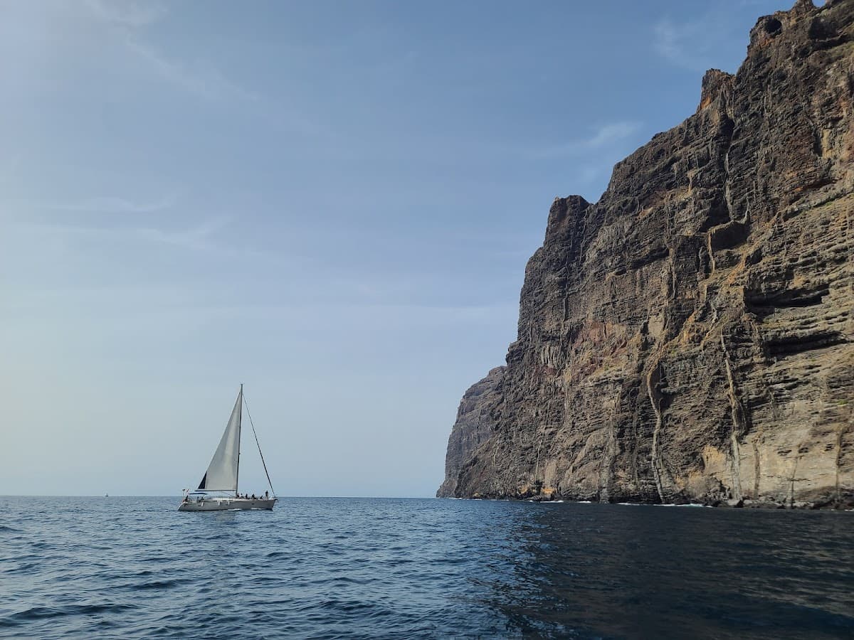 Bonadea Whale Watching