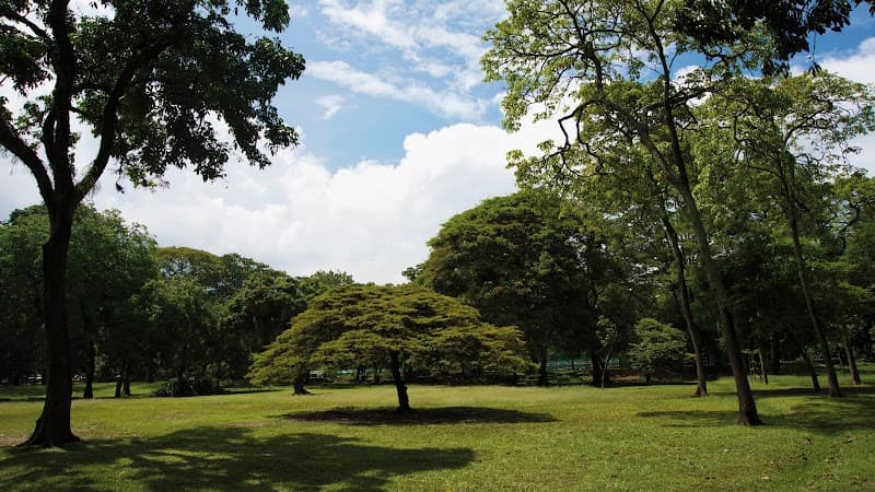 Botanical Garden Café (Jardín Botánico)