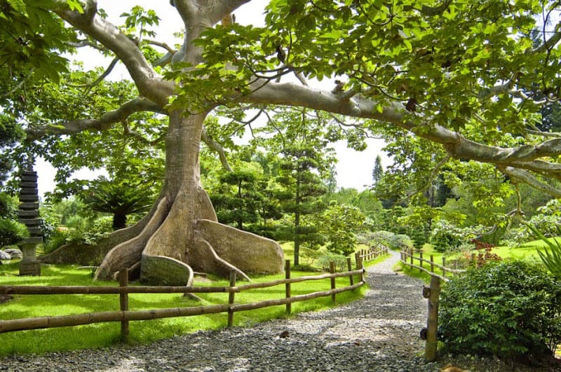 Botanical Garden