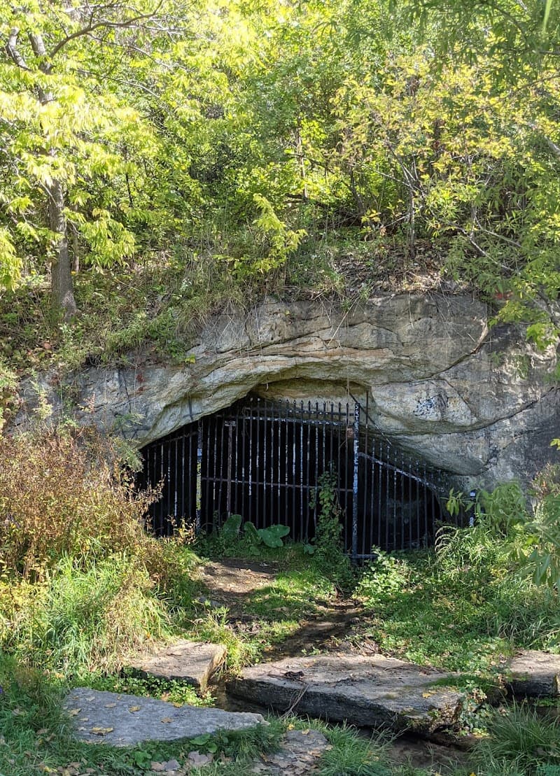Bruce Vento Nature Sanctuary