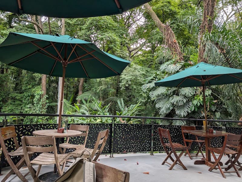 Café del Bosque (Jardín Botánico)