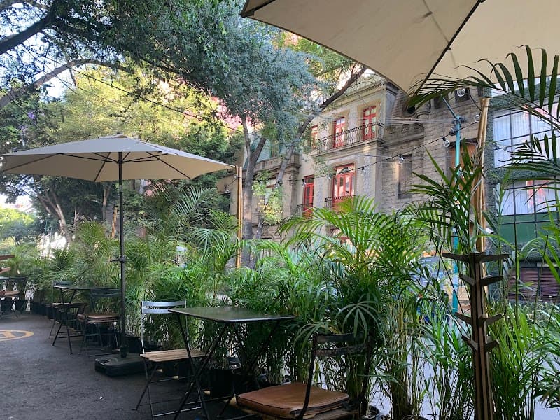 Mexico City Slow-Flow Escape for Food, Design, and Green Space