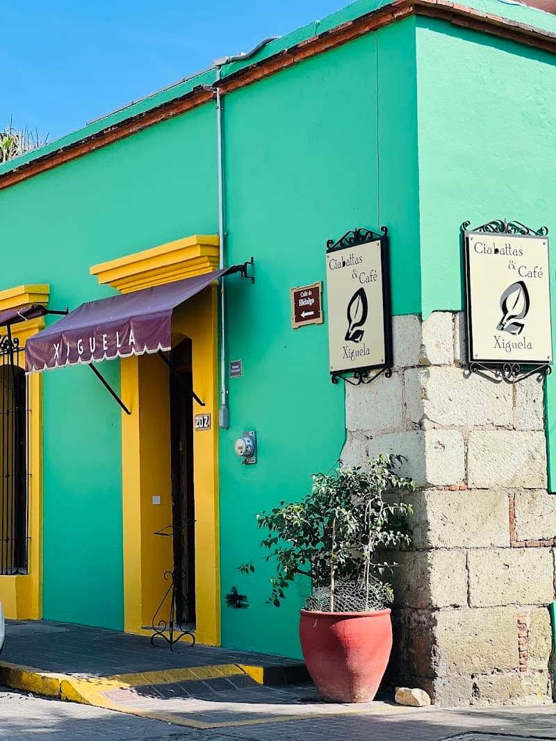 Wild Flavors of Oaxaca: A Jungle-Themed Foodie Weekend