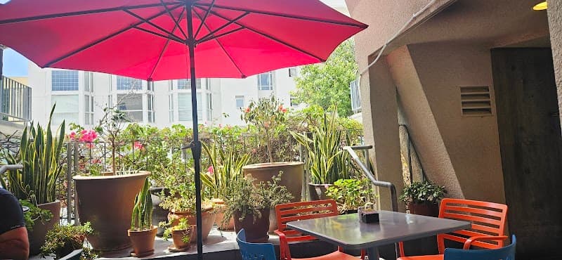 Adventure & Ocean Views: A San Diego Couples Weekend