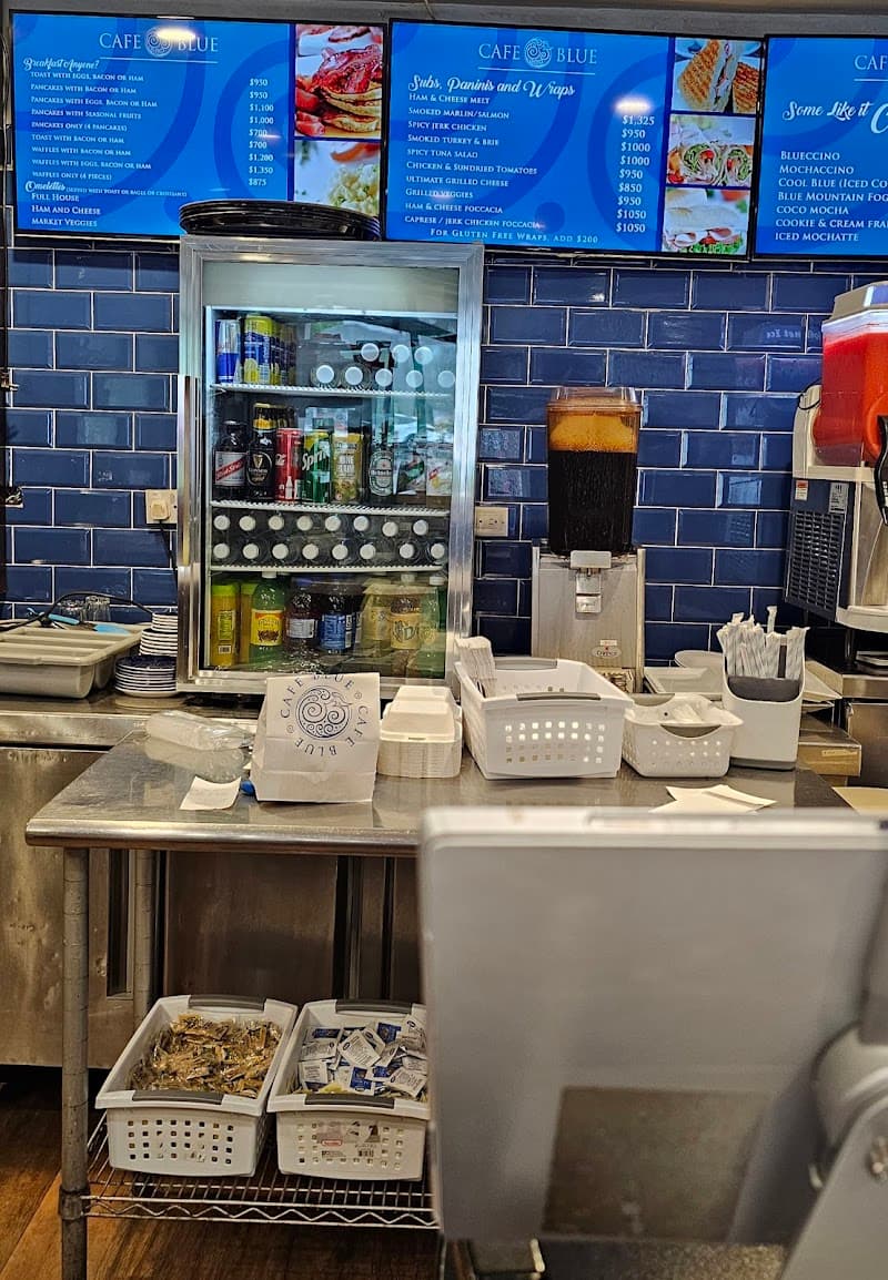 One Day in Kingston: Business, Beach & Culture Blend