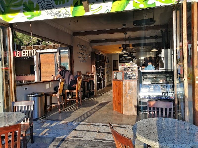 Modern Baja Escape: 5 Days in Rosarito & Valle