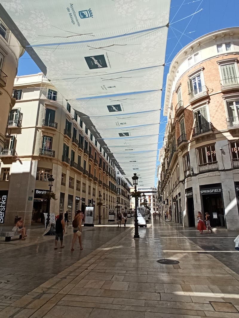 Calle Marqués de Larios & Centro Histórico Walk