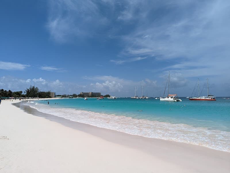 Carlisle Bay Scuba Dive