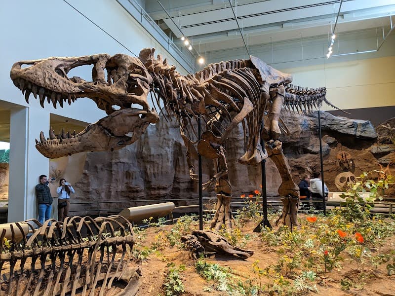 Carnegie Museum of Natural History & Carnegie Museum of Art