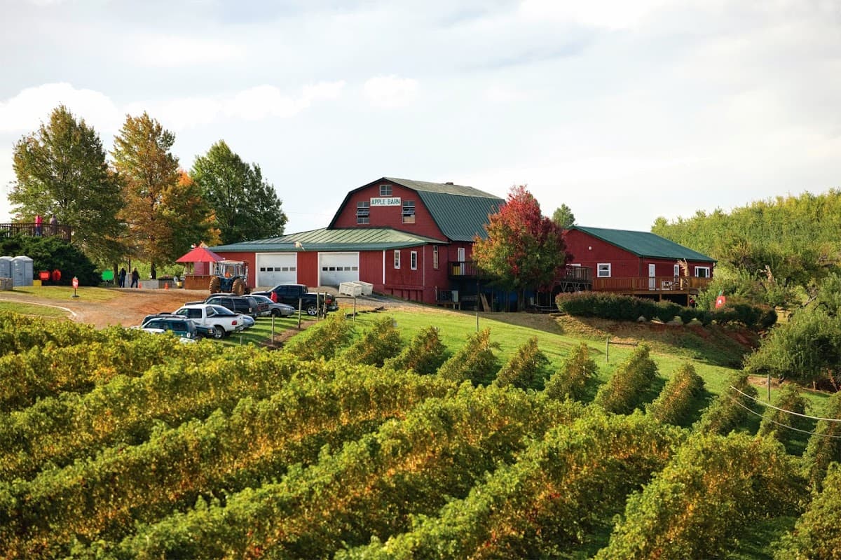 Carter Mountain Orchard