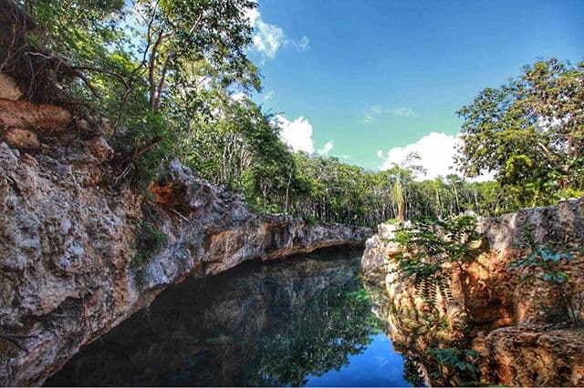 Casa Tortuga Cenotes (Day Trip)