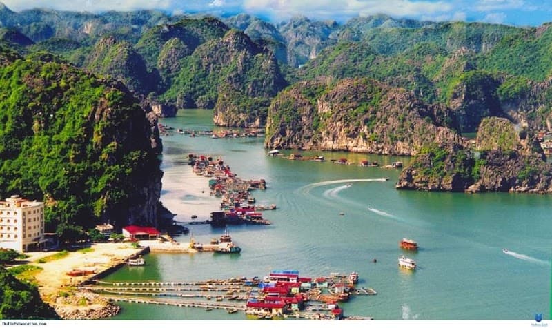 Cat Ba Island Free-Explore Time