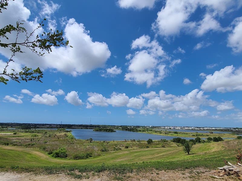Celery Fields