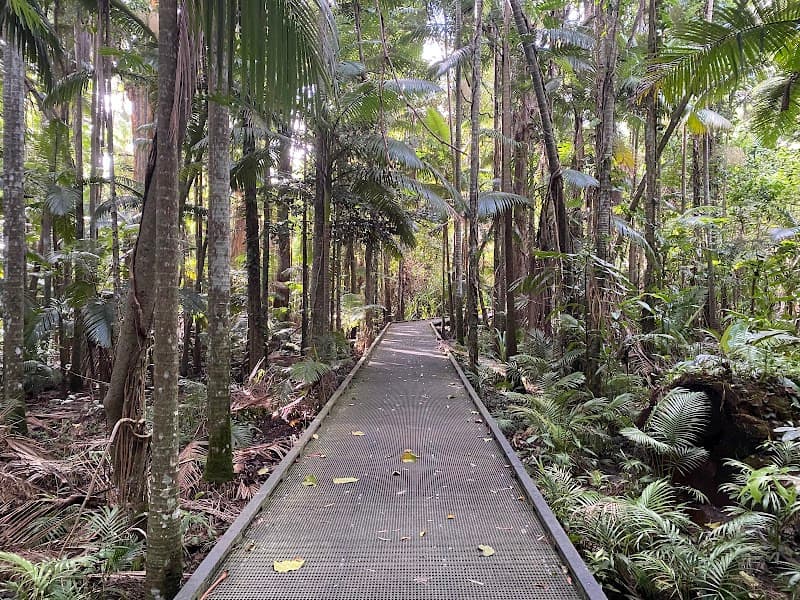 Centenary Lakes & Rainforest Boardwalk