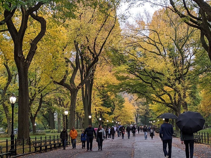 Central Park South & The Mall