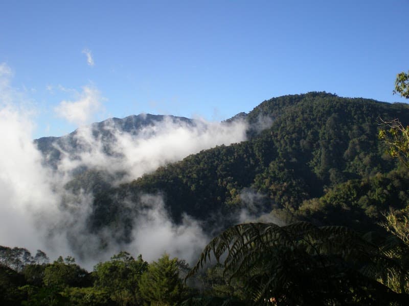 Cerro de la Muerte Viewpoints