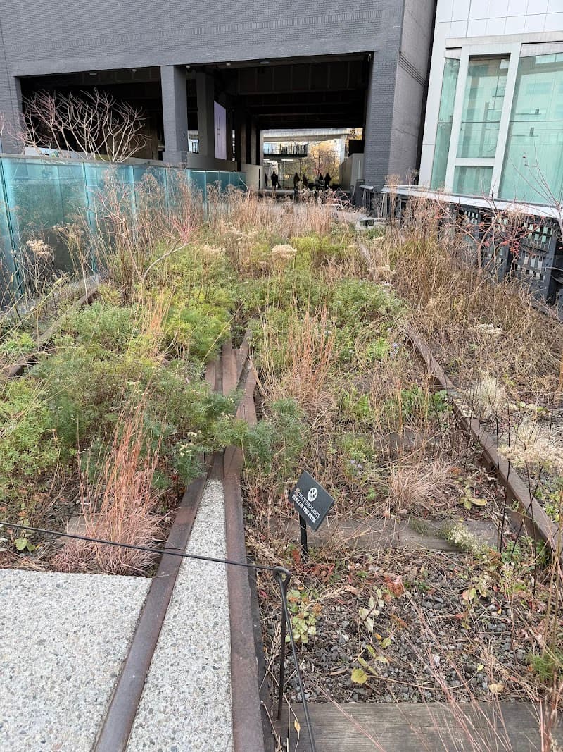 Chelsea Market & High Line