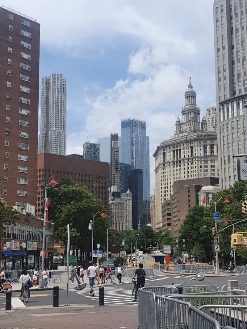 Chinatown and Little Italy Walk