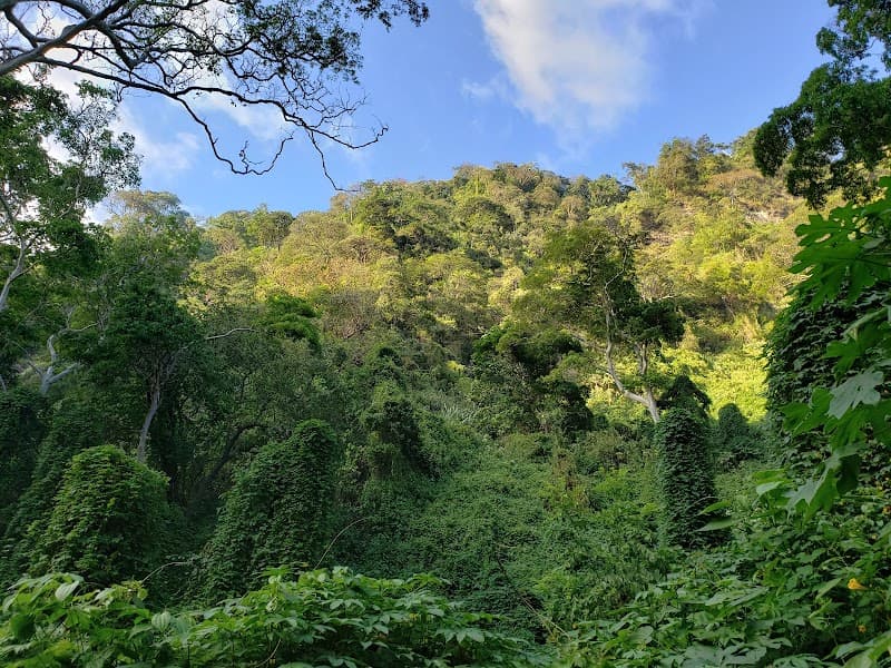 Chocoyero-El Brujo Nature Reserve