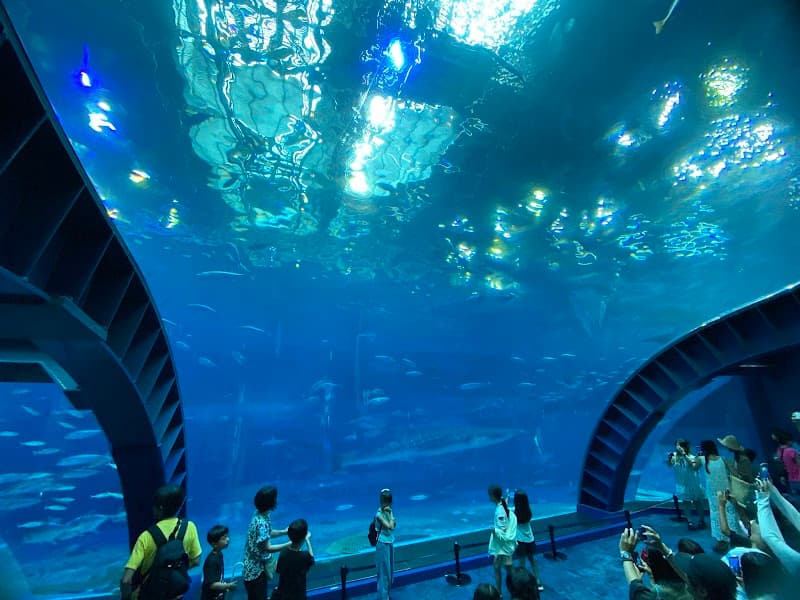 Churaumi Aquarium