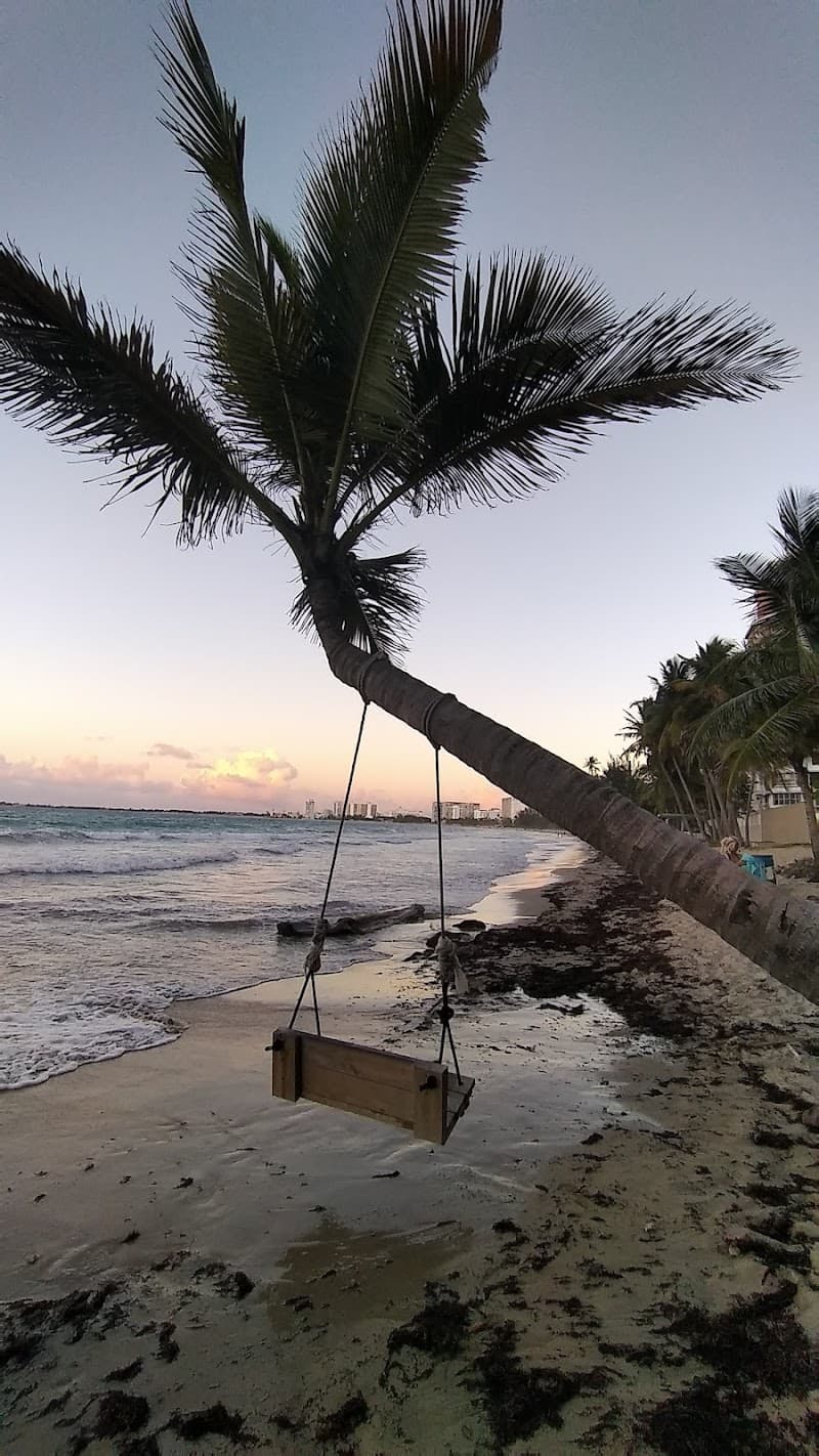 Coastal Bike Ride along Condado and Ocean Park