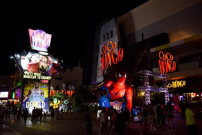 Coco Bongo Area Bars