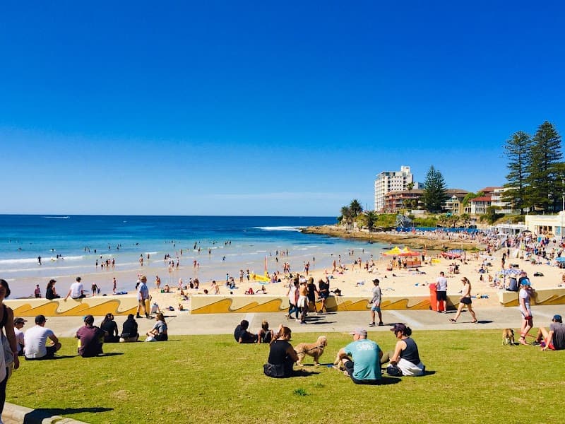 Cronulla Beach Esplanade Walk & Dune-Like Headlands