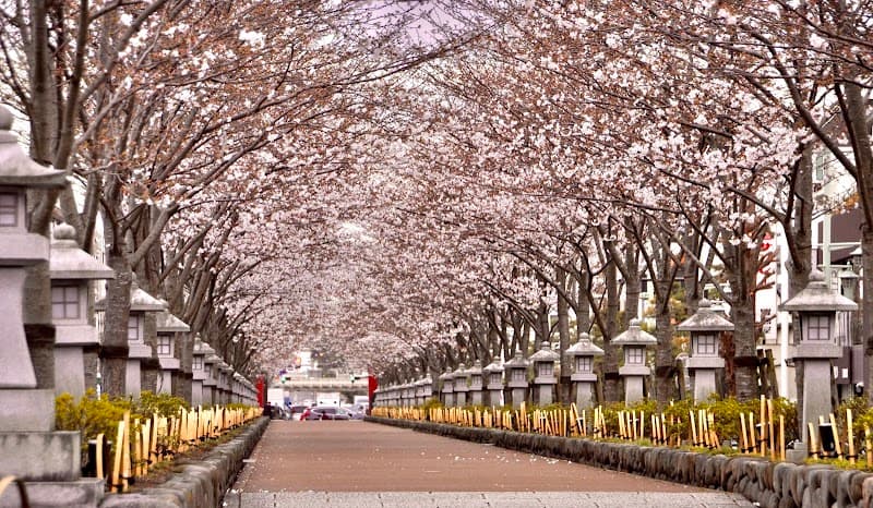 Dankazura Avenue Walk