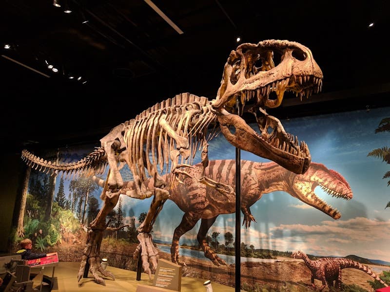 Denver Museum of Nature & Science (Quick Visit Option)