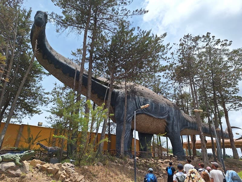Dinosaur Footprints at Cal Orck’o
