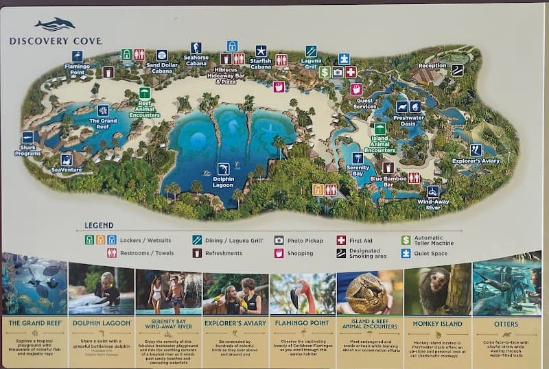 Discovery Cove All-Inclusive Day Pass