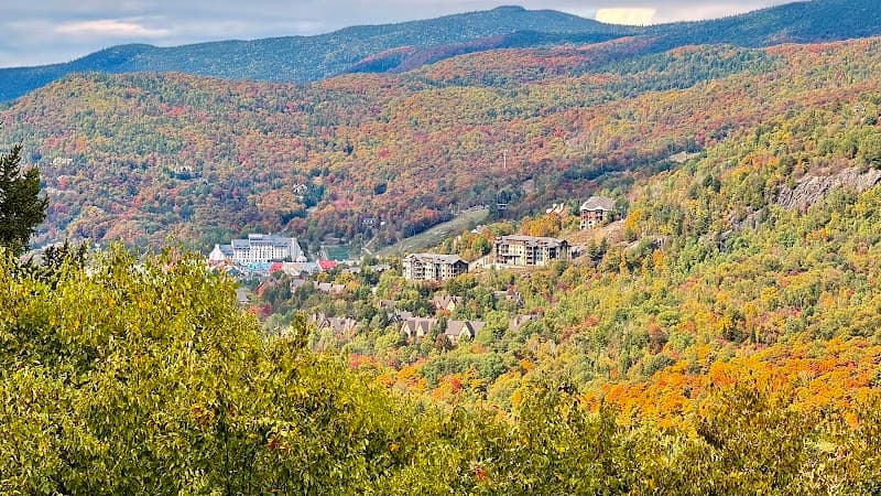 Domaine Saint-Bernard Nature Trails & Wildlife Spotting