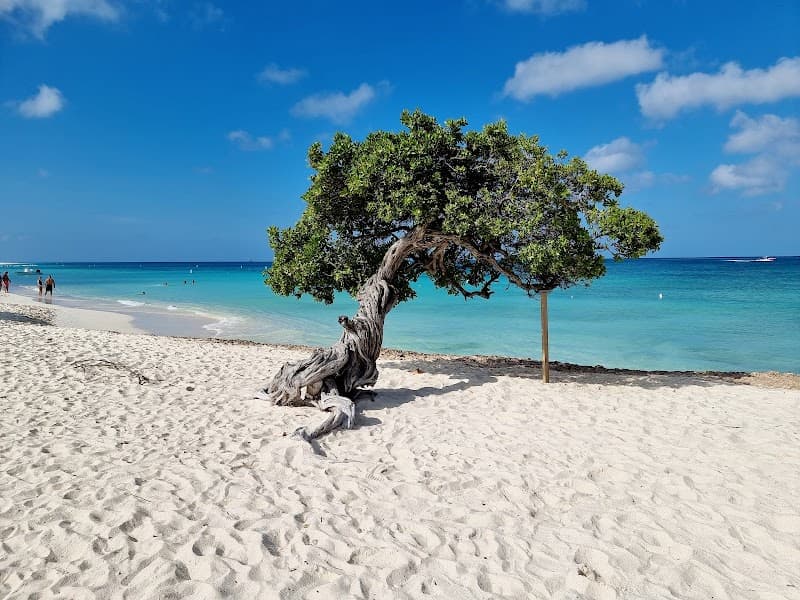 Eagle Beach Relaxation