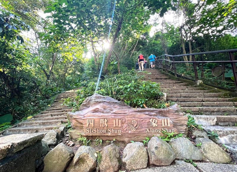 Elephant Mountain Trail