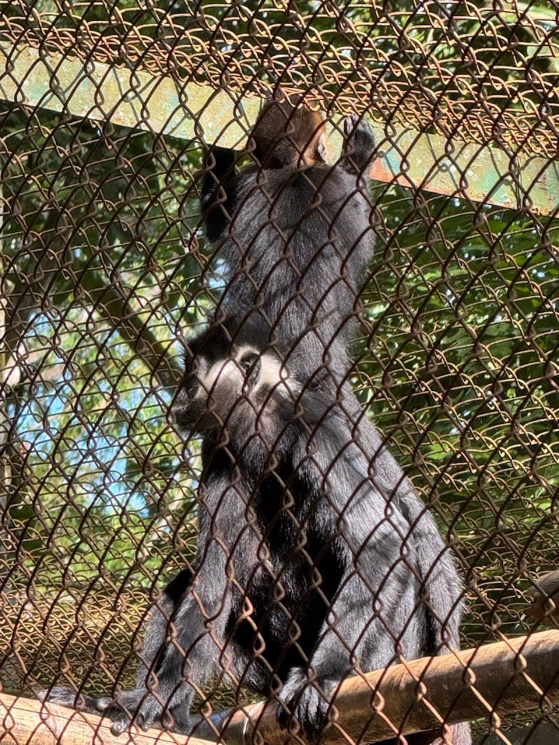 Endangered Primate Rescue Center