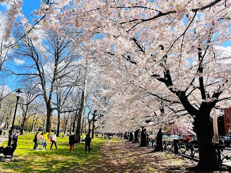 Evening Walk in Wooster Square Park