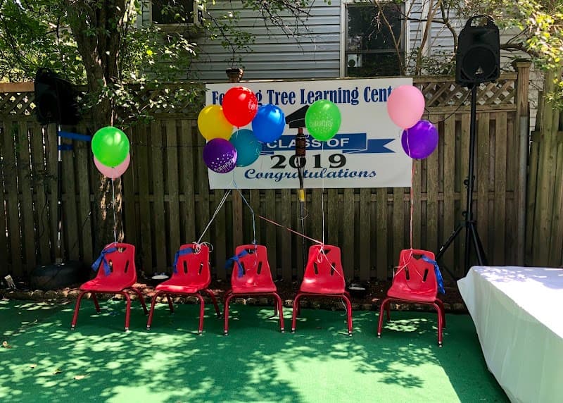 Feeding Tree