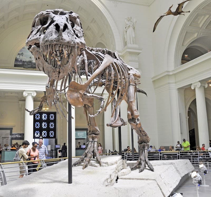 Field Museum of Natural History (optional)