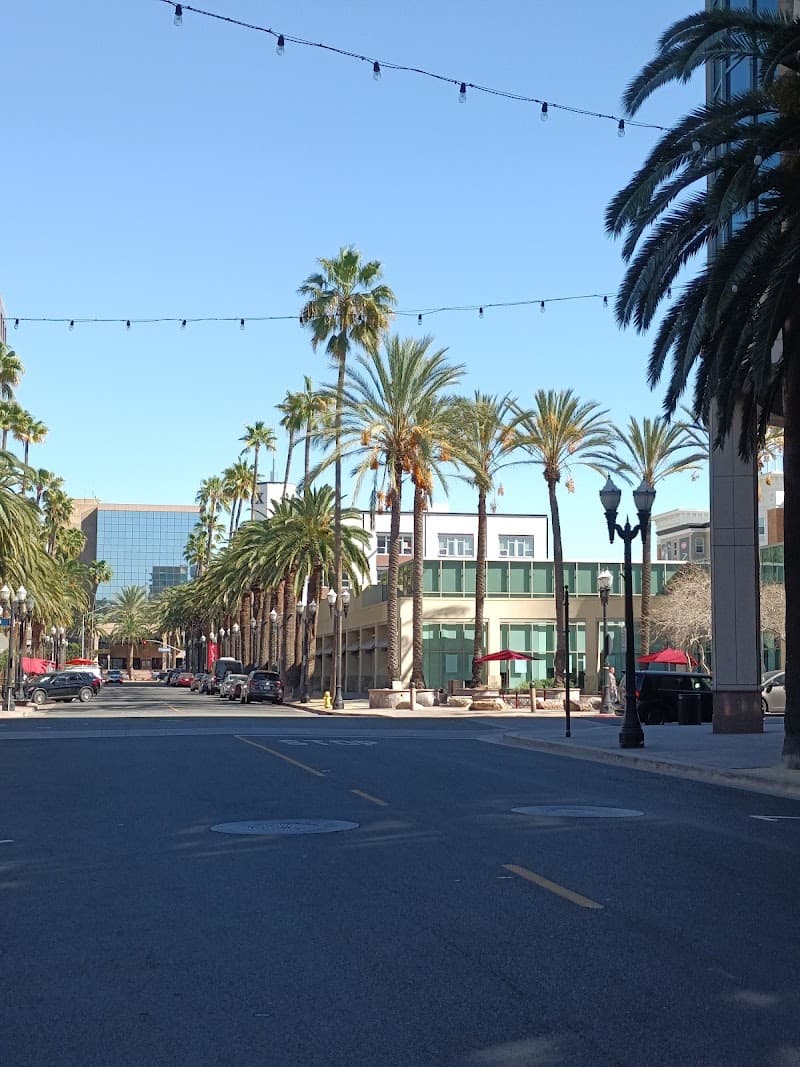 Final Night Walk in Downtown Anaheim