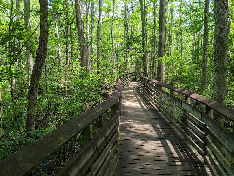 First Landing State Park Cabins or Campsites