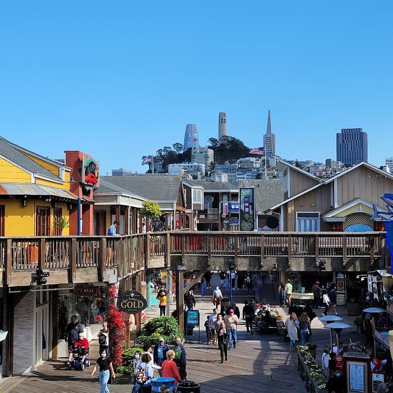 Fisherman’s Wharf & Pier 39 Sea Lions
