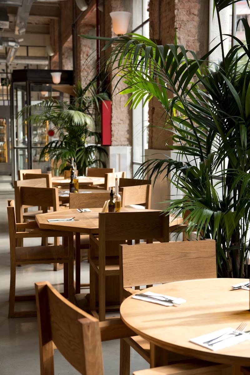 Barcelona's Culinary Escape: Wine, Tapas & Mediterranean Flavors