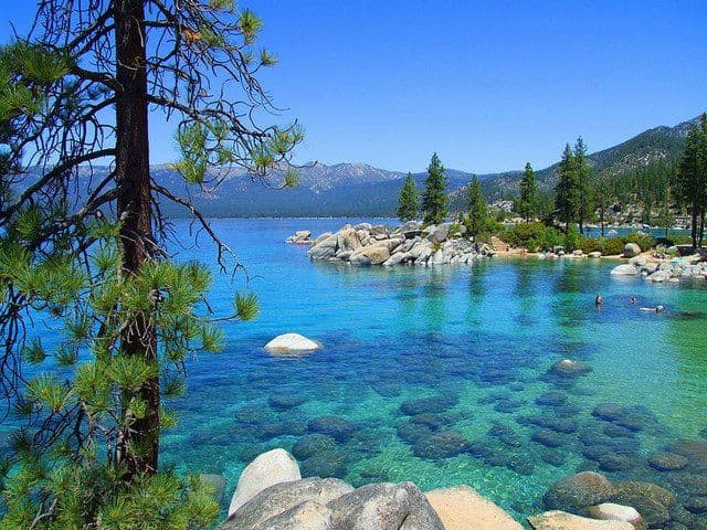 Forest Walks Around Nevada Beach