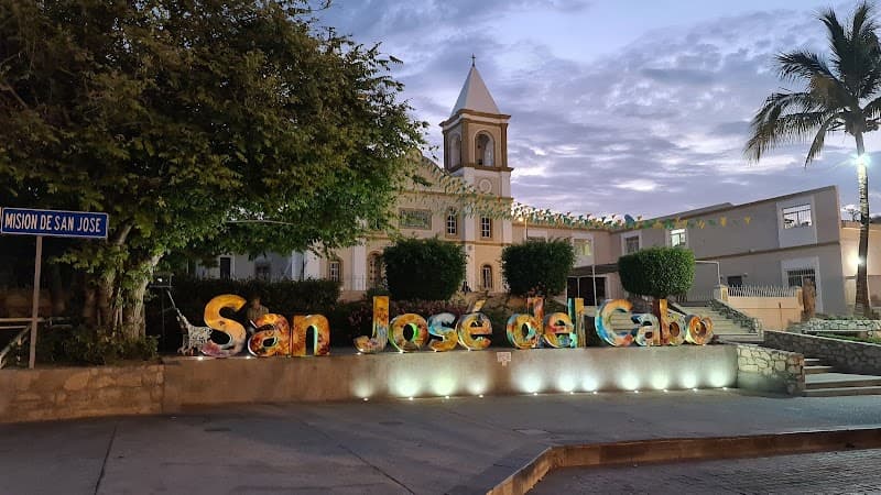 Free Explore: Cabo San Lucas Marina & Waterfront