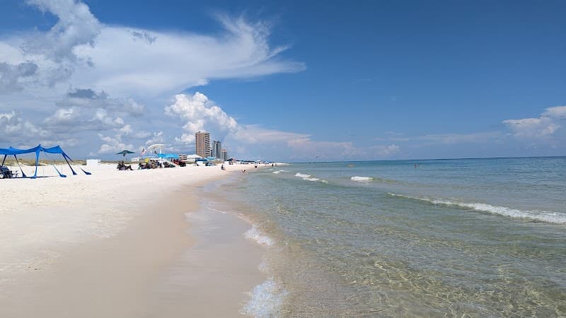 Free Explore: Gulf State Park Lakes & Nature