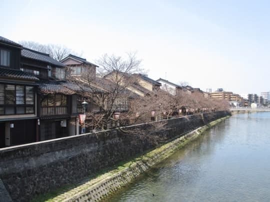 Free Explore Time in Higashi Chaya & Kazuemachi