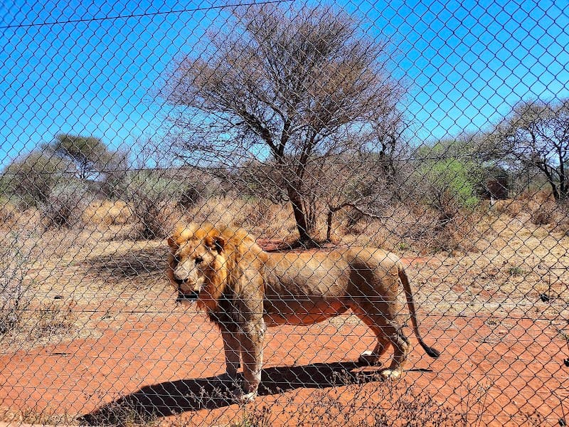 Gaborone Game Reserve (Self-Drive or Guided)