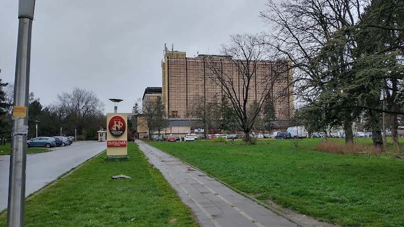 Novi Sad Jungle Vibes: Fortress, River, and Hidden Corners
